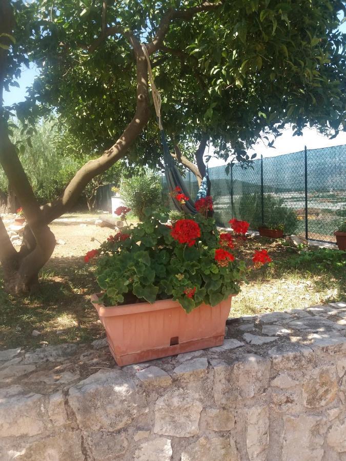 Appartamento In Collina Fondi Kültér fotó
